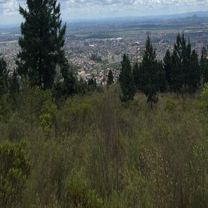 色老头网站久久网
