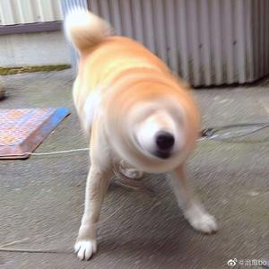 色老头网站久久网
