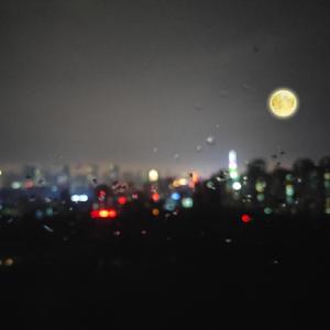 色老头网站久久网
