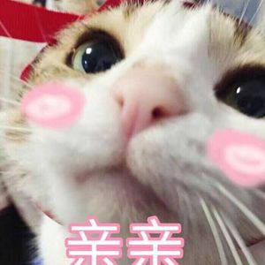 色老头网站久久网
